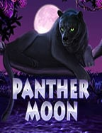 ชนะโบนัสสนุกๆ กับ chokdee777 เครดิต ฟรี